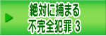 絶対に捕まる 不完全犯罪 3