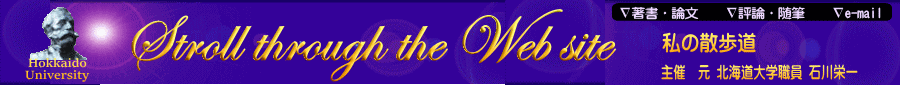 Stroll through the Web site