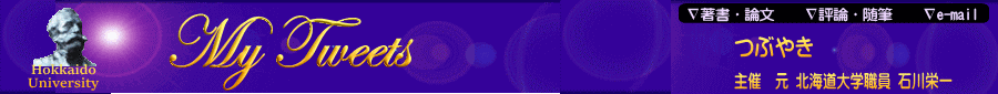 Stroll through the Web site