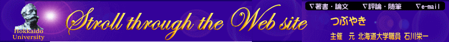 Stroll through the Web site